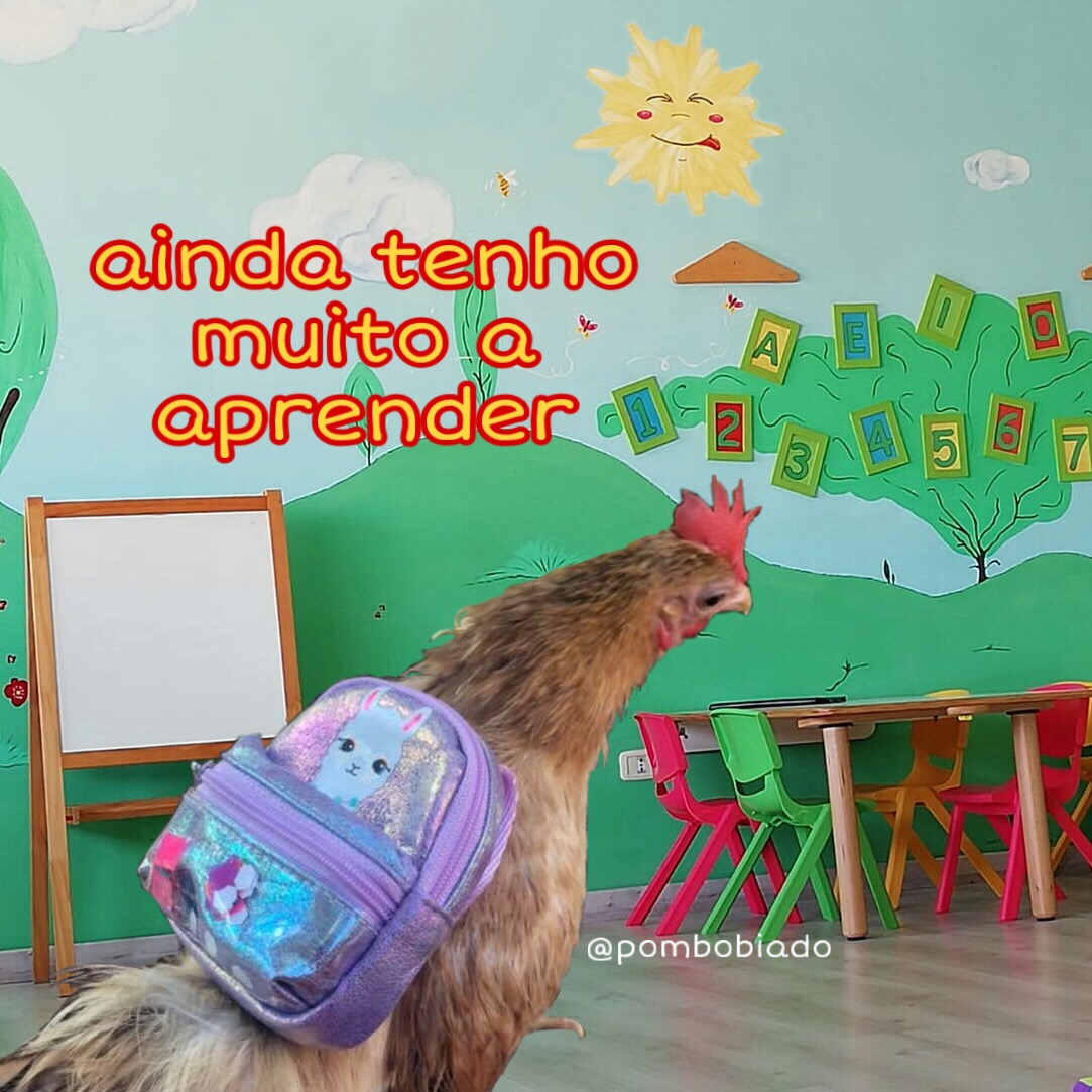 galinha de mochila dizendo ainda tenho muito a aprender