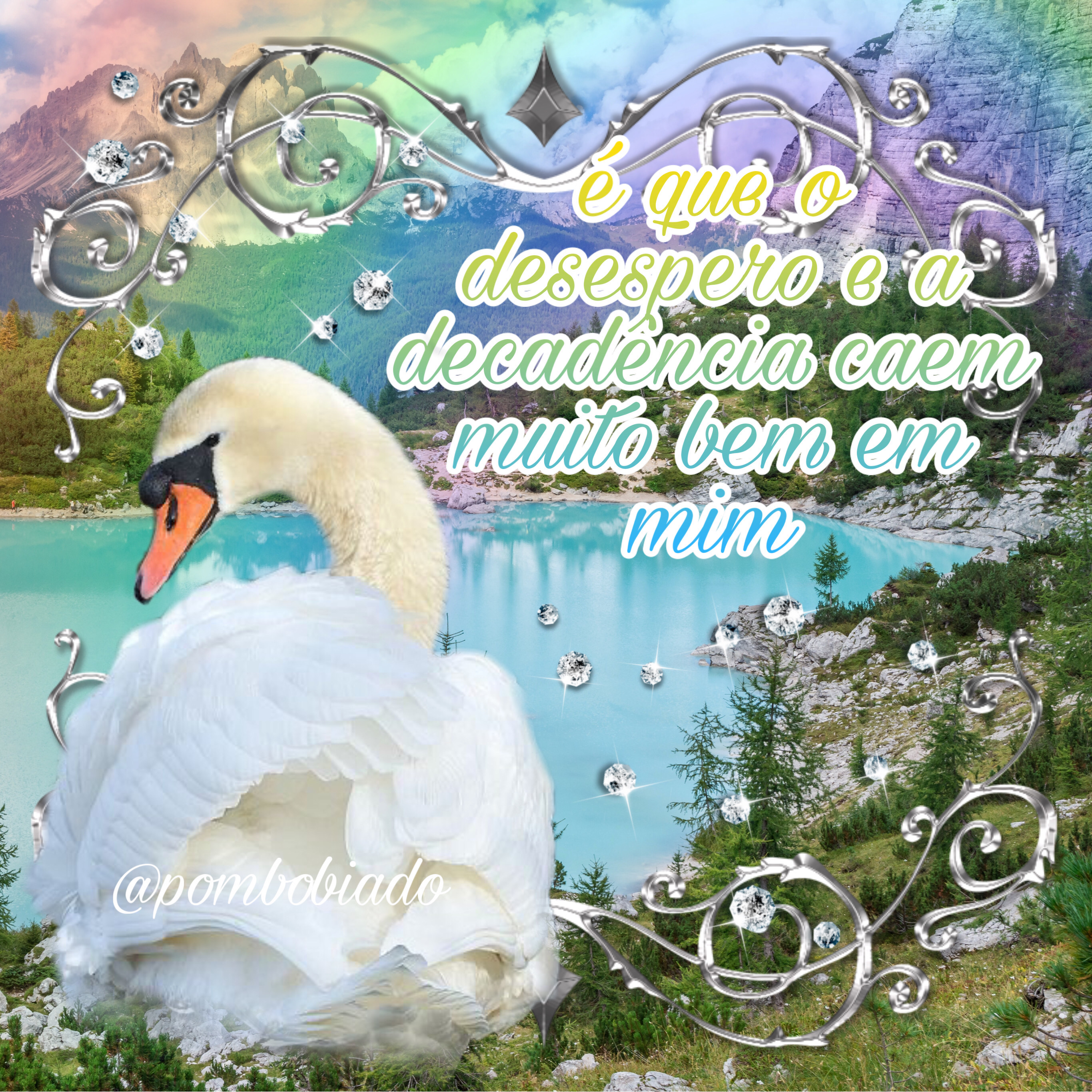 cisne dizendo é que o desespero e a decadência caem muito bem em mim