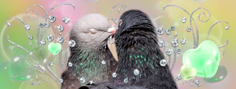 dois pombos se beijando em um fundo degradê ornamentado